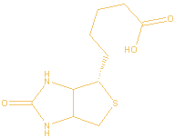 Biotine ( Vitamine H )