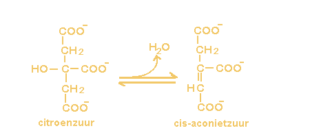 Citroenzuur <=> cis-aconietzuur + H2O