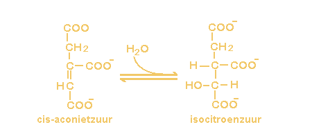 cis-aconietzuur + H2O <=> isocitroenzuur